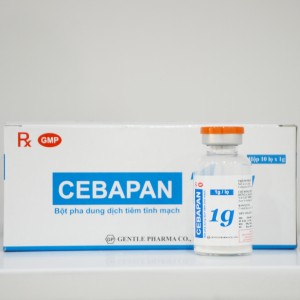cebapan1